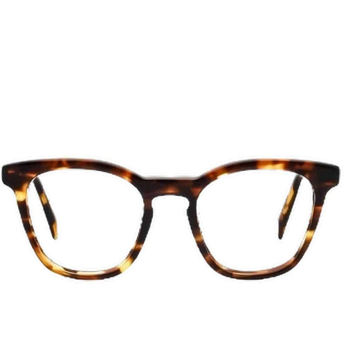 WARBY PARKER TURNER W 294